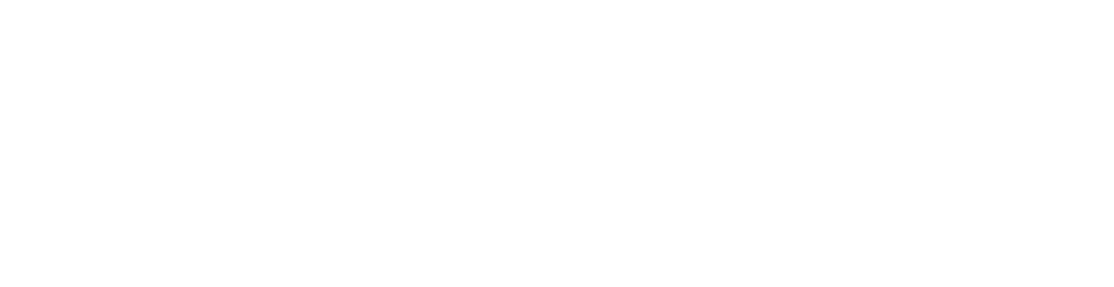 DoubleX